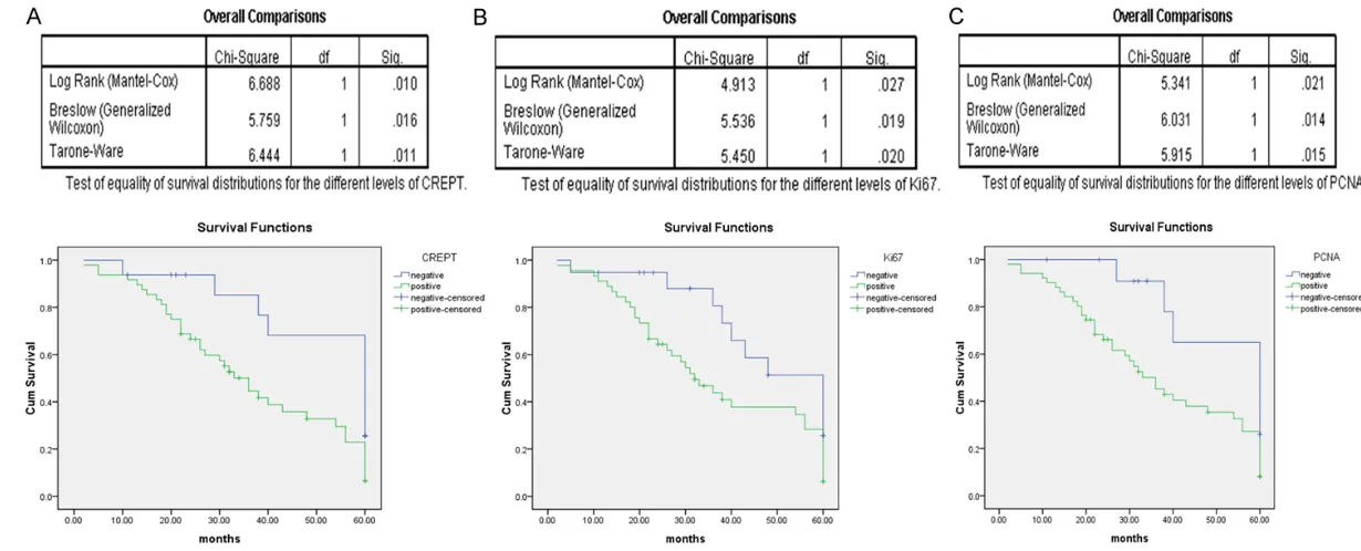 Figure 2. Kaplan-Meier analyses of the overall survival of 64 retroperitoneal LMS patients according to CREPT (A), Ki-67 (B) and PCNA (C) expression.