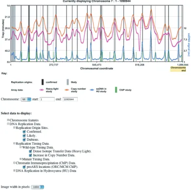Figure 3. Example Screen Shot from the Interactive Chromosome Viewer. The OriDB Chromosome Viewer facility allows interactive graphic display of DNAreplication data for any genomic location—in this case the whole of chromosome VII is shown