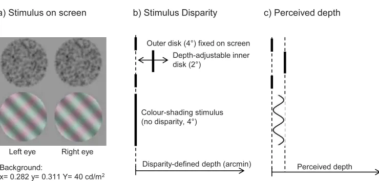 Figure 1. (a) Top: Illustration of the matching stimulus used for the experiment. When presented via a stereoscope, observers perceivea circular depth pedestal in the middle of the matching stimulus