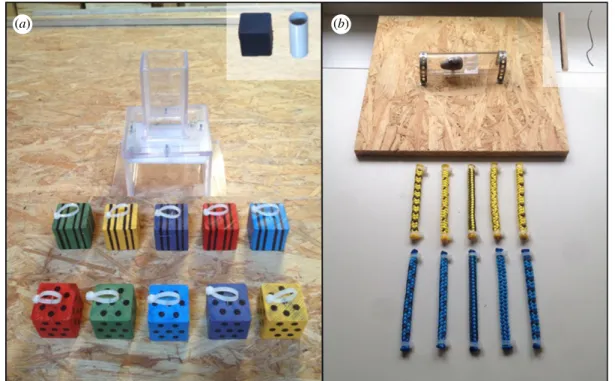 Figure 2. Example object sets and apparatuses used with the kea. (a) Block set: individuals must select a heavy block (weight corresponds