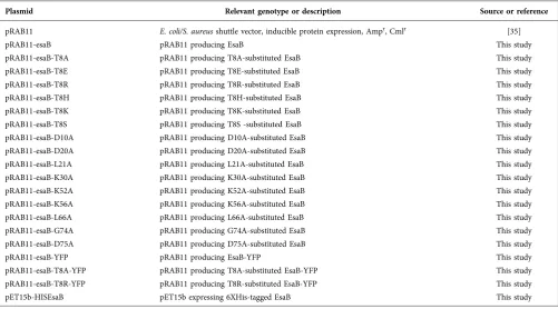 Table 1. Plasmids used in this study