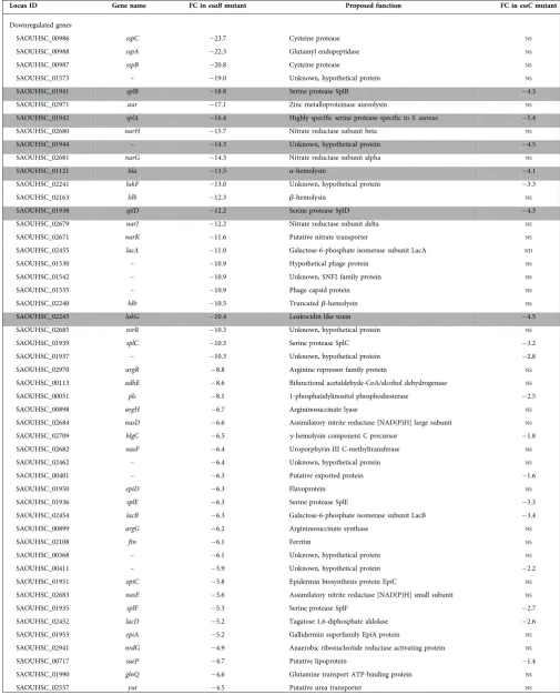 Table 2. Genes differentially regulated (>log 2 fold) in the RN6390 esaB deletion mutant, sorted by ascending fold change (FC)