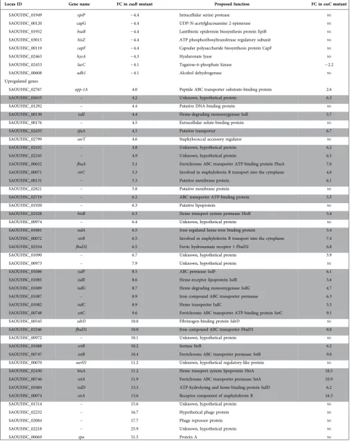 Table 2. cont.