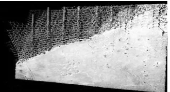 Fig. 3 A Typical Ferrocement Section 