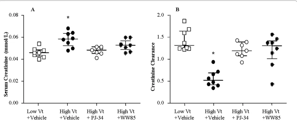 Figure 4 Concentration-response curves. (a) Concentration-response curves for norepinephrine (NE) of isolated renal arcuate arterioles