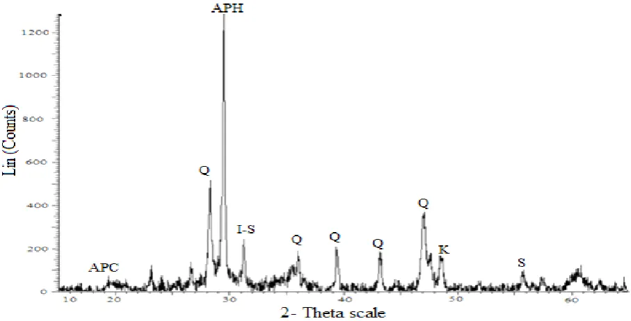 Figure 1.  Powder XRD diffraction pattern of APA 