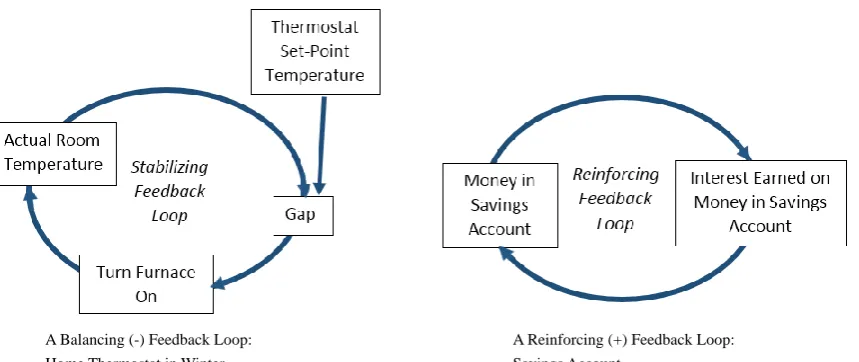 Figure 2.  Balancing and Reinforcing Feedback Loops 