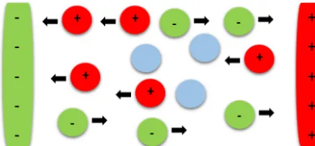 Figure 1. Anions (green) with a negative charge get attracted to-ward the positively charged electrode; cations (red) with a positivecharge get attracted toward the negatively charged electrode