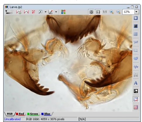 Figure 3.7. Image Window