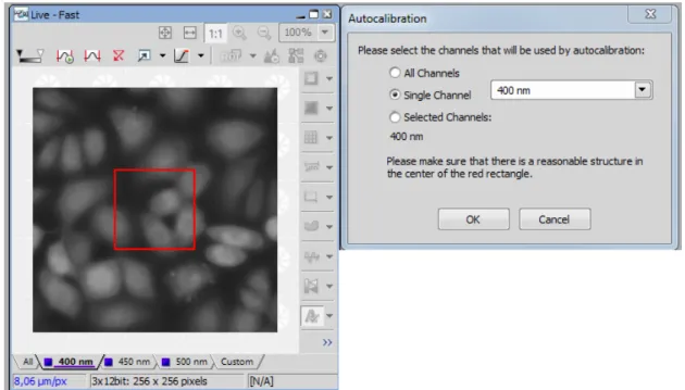 Figure 4.9. Auto-calibration window