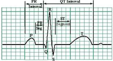 Figure 1.3 The Human ECG signal over one cardiac cycle 