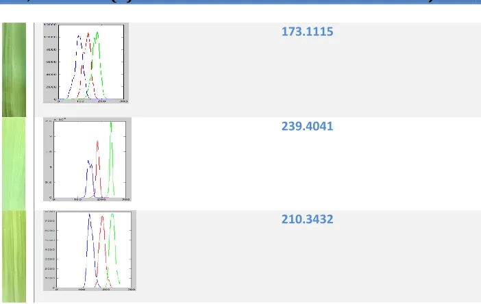 Table no.1:-Images obtained along with the histograms. 
