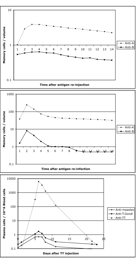 Fig. 5.9. (top and middle) Plots of the memory cell-levels per volume for twoantigens, A and B, which are too dissimilar to directly cause a response in eachother’s memory cells