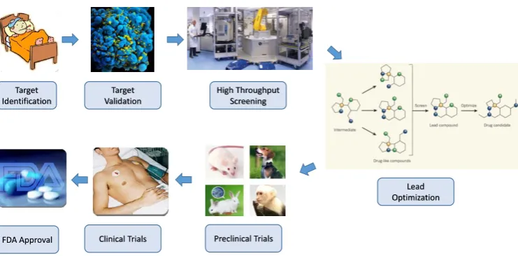 Figure 1.  Drug discovery process flowchart 