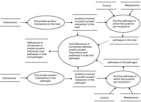 Fig. 5. Data ﬂow diagram–pathogen. Data ﬂow diagram for identifying diﬀerences or similarities in protein-proteininteractions and pathways in host and pathogen.