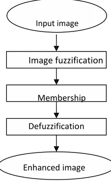 Fig. 1 The basic principles of fuzzy enhancement 