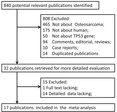 Figure 1. The ﬂow chart of included studies.