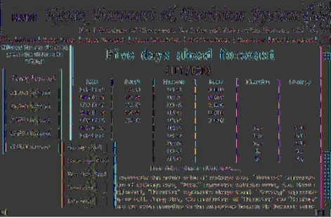 Fig. 7. The implementation of IFRFTDSS 