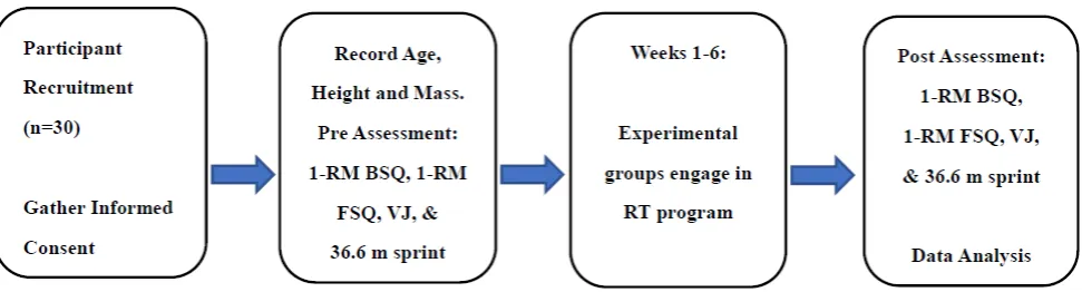 Figure 3.  Study timeline (BSQ-back squat; FSQ-front squat; 1-RM-one repetition maximum; VJ-vertical jump) 