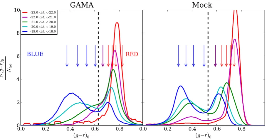 Figure 5. Distribution of rest-frame (g − r)0 colour for ﬁve different ranges of r-band absolute magnitude for GAMA (left) and the mock catalogues (right).The vertical dashed black lines show the splits in colour used for GAMA and the mock catalogues