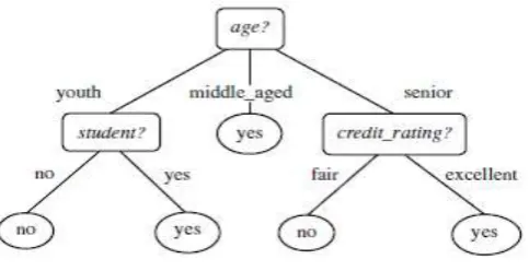 Figure 1 decision tree classifications 