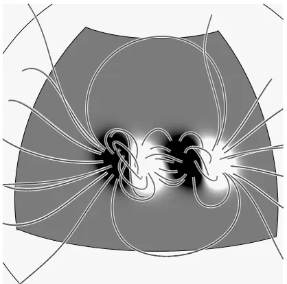 Fig. 1. Conﬁguration of the magnetic ﬁeld after 19 days of evolutionusing the model of Mackay & van Ballegooijen (2006a)