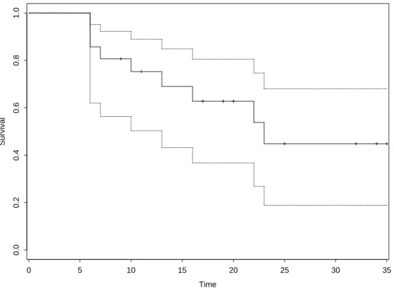 Figure 3: KM Survival Estimate and Confidence intervals (type ‘log-log’)