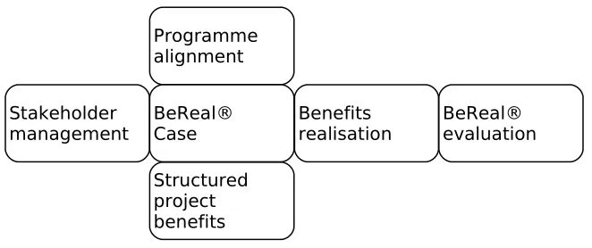 Fig. 4. The project/programme level