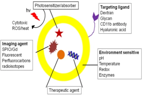 Figure 2. Schematic showing a theranostic with targeting, imaging and therapeutic functionalities