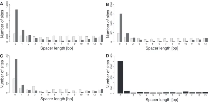 Figure 3. Spacer length distribution of the sites predicted by the sequence-only model (light gray) and the combined-evidence model (dark gray) for (A) large sets, (B) intermediate sets and (C) stringent sets of predictions, and for the full positive data 