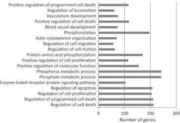 Figure 5. Functional enrichment (P < 10 5 ) of ‘GO FAT’ terms for biological process for the intermediate set predicted by the  combined-evidence model