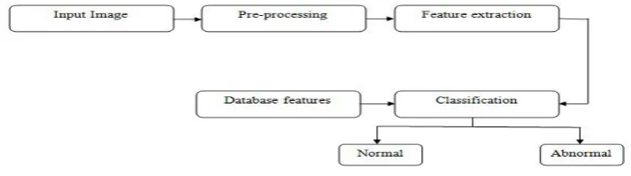 Fig. 1  Block diagram of the presented mammographic mass detection scheme 