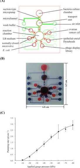 Figure 2. (A) Schematic layout of the integrated microfluidic chip. The suction-type micro-pumps, normally-closed microvalves, microchannels, reaction chambers and air inlets were integrated on a single chip