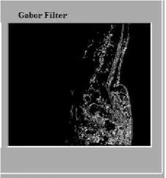 Fig 8. Output 