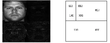 Figure 1. Preprocessing Stages 