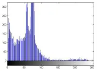Figure 5. Histogram of Original Image 