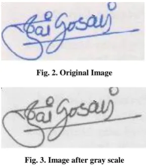 Fig. 2. Original Image  