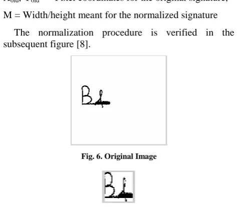 Fig. 6. Original Image 