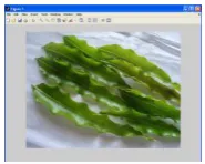 Figure 3: Image before resize                         Figure 4: Image after                                                                                                     
