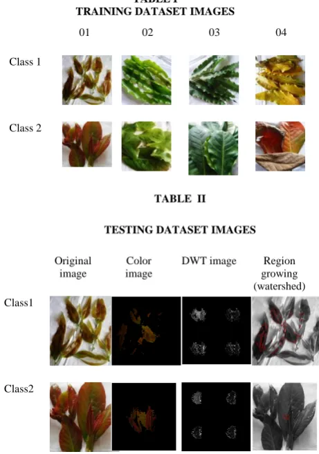 TABLE I    TRAINING DATASET IMAGES 