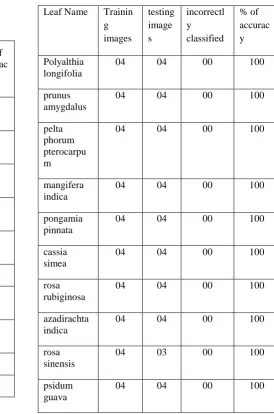 TABLE III   DETAILS ABOUT THE LEAF CLASSES AT DIFFERENT 