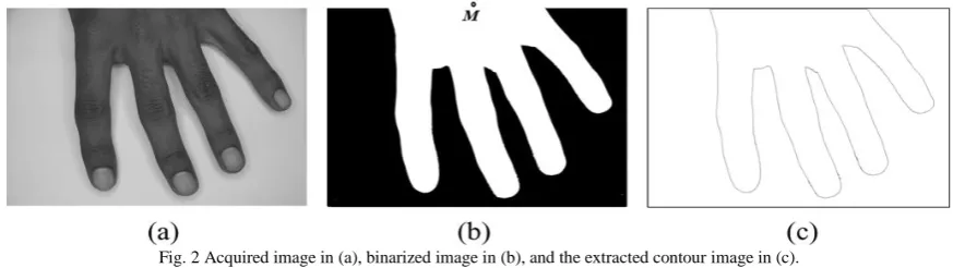 Fig. 2 Acquired image in (a), binarized image in (b), and the extracted contour image in (c)