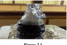 Figure 2.1 B] Synthesis of Silver Nanoparticles 