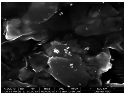 Figure 3.3 Silver Nanoparticles : 