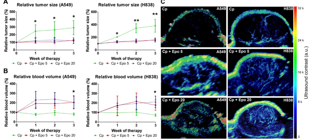 Figure 1. Epo co-medication reduces tumor growth but increases the relative blood volume in carboplatin-treated NSCLC-xenografts