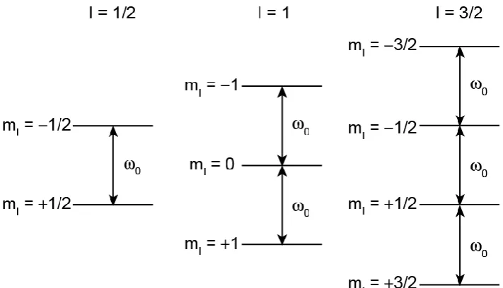 Figure 2.1: The effect of the Zeeman interaction on the energy levels for spin I = 1/2, 1 and 3/2 