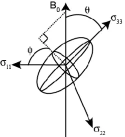 Figure 2.6: Schematic representation of the shielding tensor, with the three principal components 