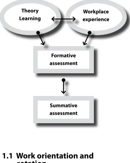 Figure 1:  Overview of skills training programme