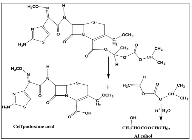 Figure 7c. The reaction processes of the O-R bond rupture in cefpodoxime proxital. 