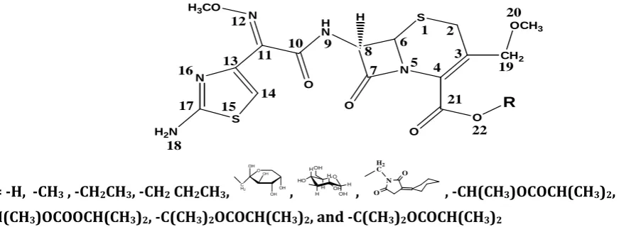 Table 1 shows the UHF calculations of the structures (bond lengths A°) for calculated cefpodoxime acid (R= -H) and 